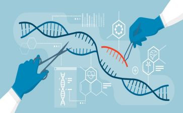 生物教师的研修总结5篇