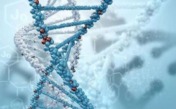 八上生物工作总结参考6篇