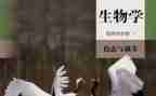初中工作生物总结报告7篇
