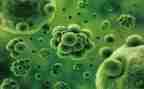 生物教师述职个人述职报告7篇