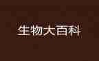 初一生物教师工作总结5篇
