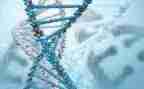 八上生物工作总结参考6篇
