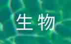 高中生物教师学期工作总结7篇
