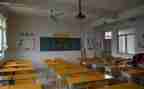 幼儿园班级年工作总结最新7篇