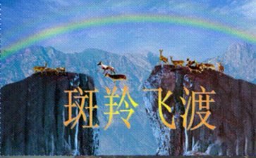 斑羚飞渡心得6篇