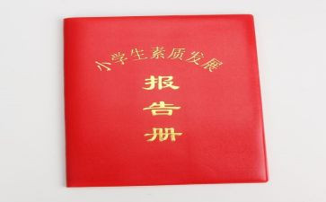 实践报告册总结优秀7篇
