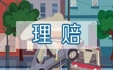 2024年保险公司财务述职报告5篇