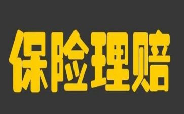 保险公司总结报告范文5篇