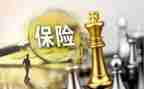 保险业务员半年工作总结7篇