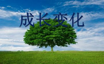 泰来县变化调查报告7篇
