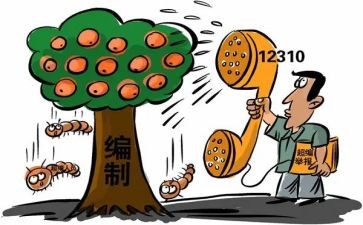 编制科工作总结8篇
