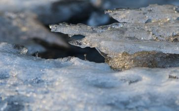 上冰雪活动总结6篇