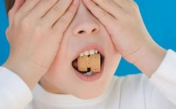 动物喂饼干教案5篇