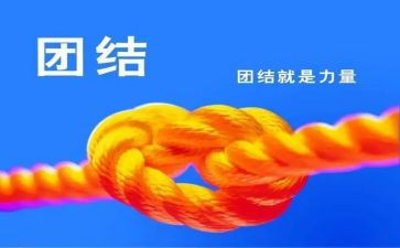 不团结心得体会6篇