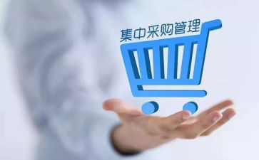 采购出纳工作总结6篇