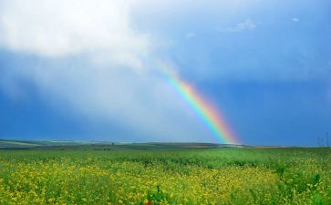 彩虹糖作文模板5篇