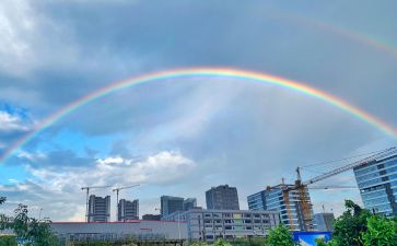 彩虹谷读后感8篇