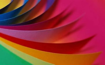 彩色的鱼作文6篇