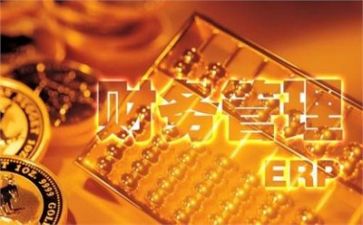 财务半年度工作计划5篇