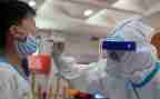 核酸采样工作总结5篇