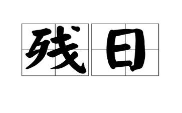 2024年助残日活动方案优秀6篇