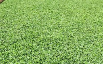 起草房屋租赁合同5篇