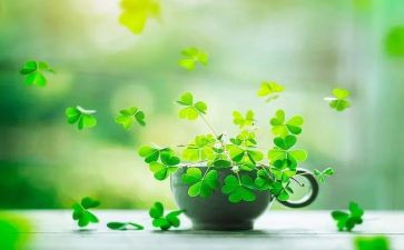 大班关于草的教案优秀7篇