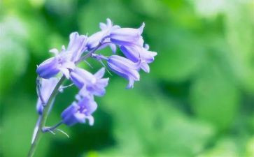 烟草自查报告5篇