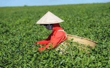 奶茶店搞活动方案7篇