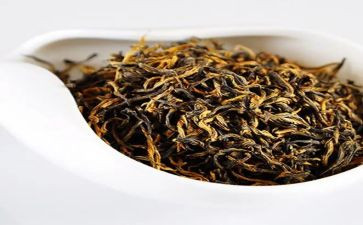 茶艺培训心得体会6篇