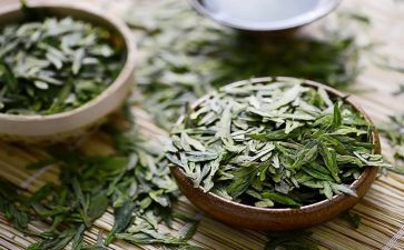 茶的感想400字作文推荐6篇