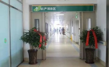 产科医生个人述职报告8篇