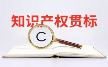知识产权工作总结优质6篇