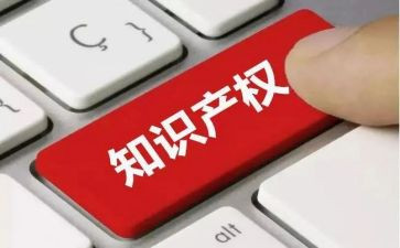 保护知识产权活动总结7篇