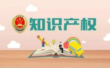 知识产权工作总结8篇