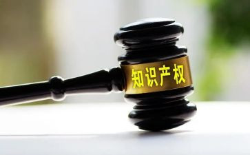 知识产权的心得体会8篇