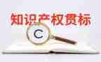 知识产权工作总结优质6篇