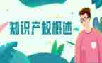 知识产权活动总结6篇