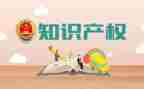 知识产权工作总结8篇