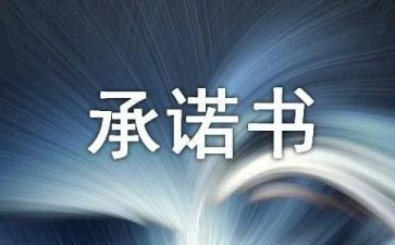 个人承诺书模板推荐8篇