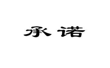 我的承诺的作文6篇
