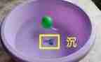 沉与浮活动方案最新8篇