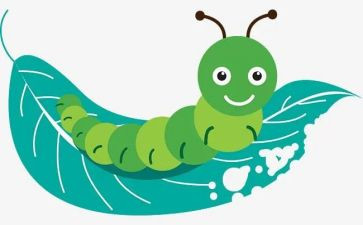小毛虫教案精选6篇