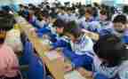 初2学期总结推荐8篇