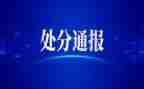 处分撤销申请书申请书模板6篇