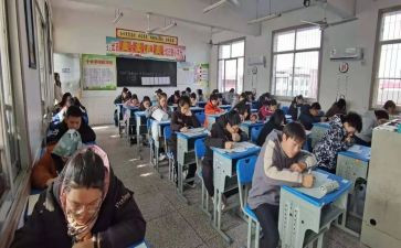 初级个人述职报告范文6篇
