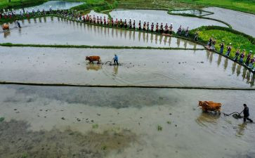 2024春耕备耕调查报告5篇