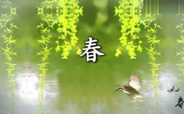 春节晚会活动策划7篇