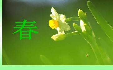 小班春季周工作计划最新7篇