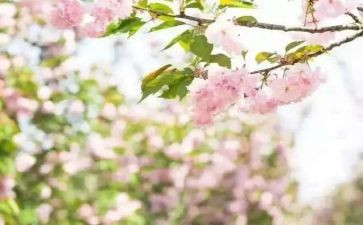 青春期教育心得体会7篇